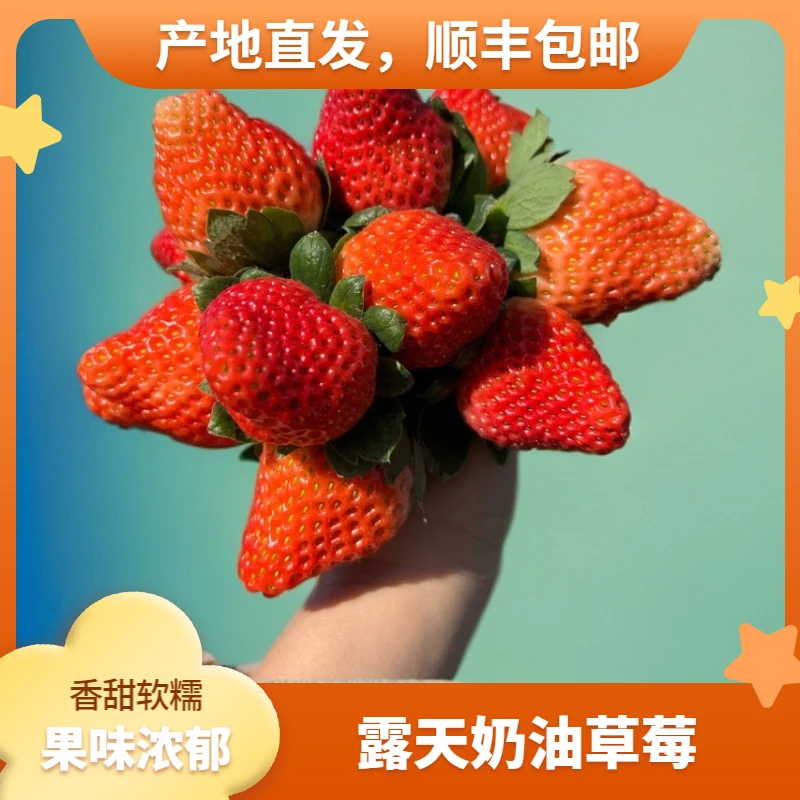 K顺丰包邮【草莓福利】孕妈妈❤️草莓❤大凉山露天草莓礼盒装1-3斤ljk