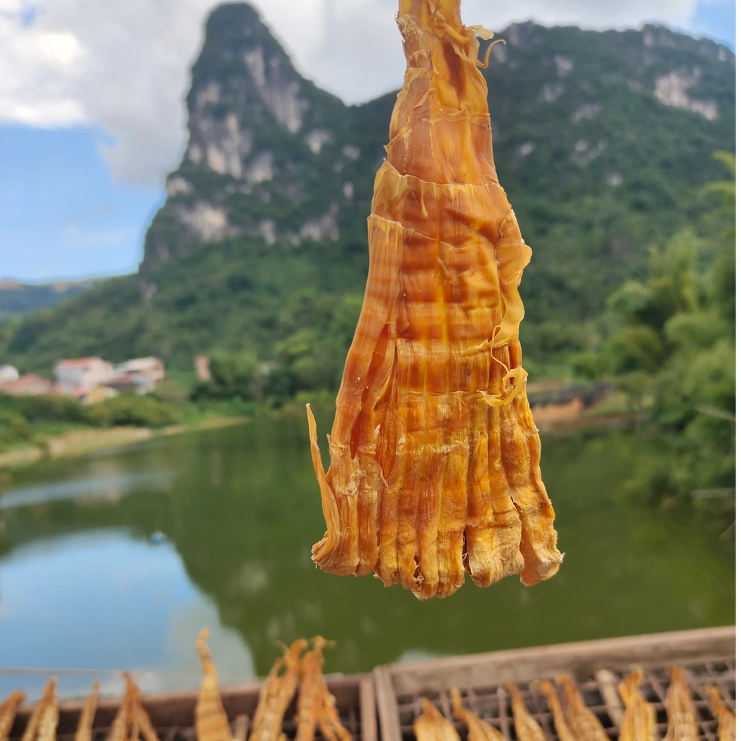 广西桂林竹笋干农家自晒当季新鮮蔬菜炒肉煲汤好吃美味1斤2斤包邮