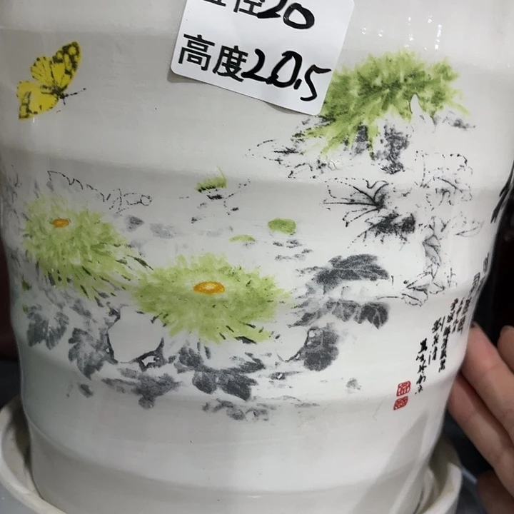 红陶20CM（含）-50CM（不含）