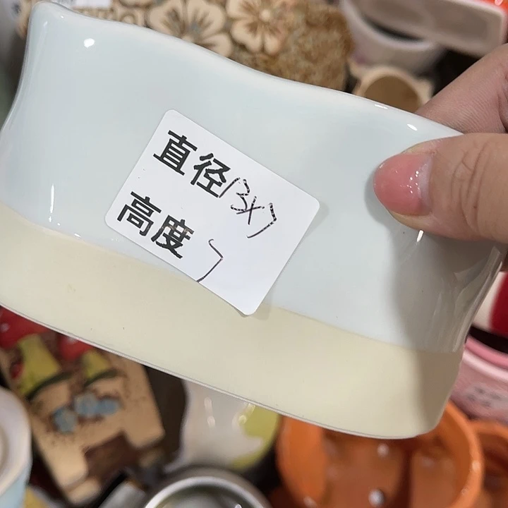 红陶20CM（含）-50CM（不含）