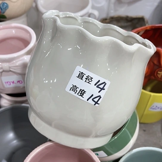 红陶20CM（含）-50CM（不含）