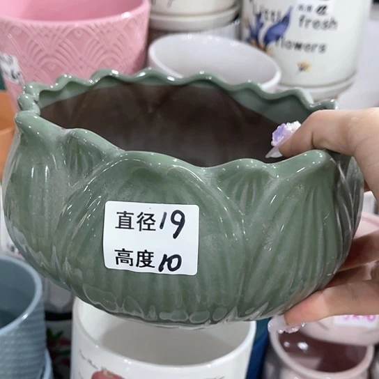 红陶20CM（含）-50CM（不含）