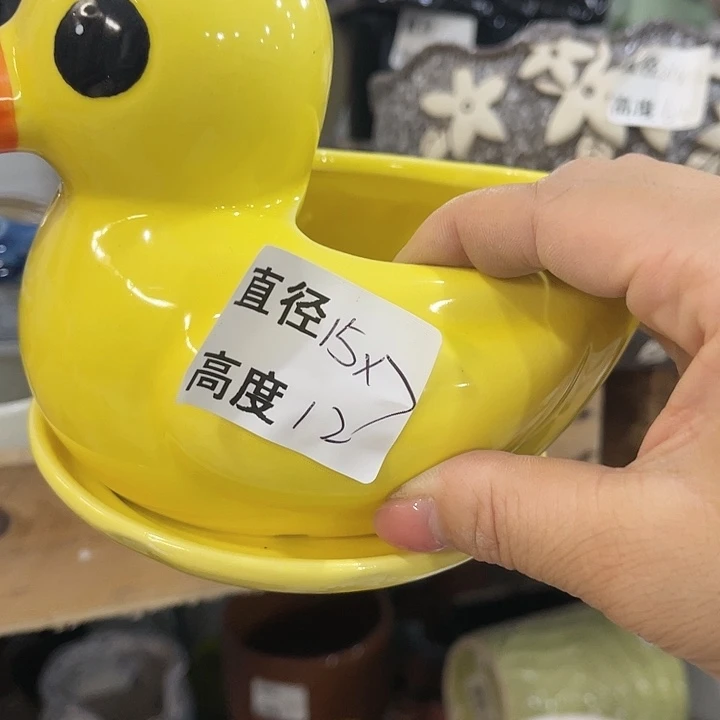 红陶20CM（含）-50CM（不含）