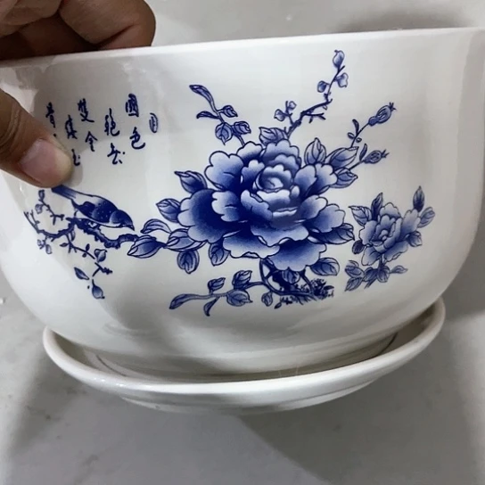 红陶20CM（含）-50CM（不含）