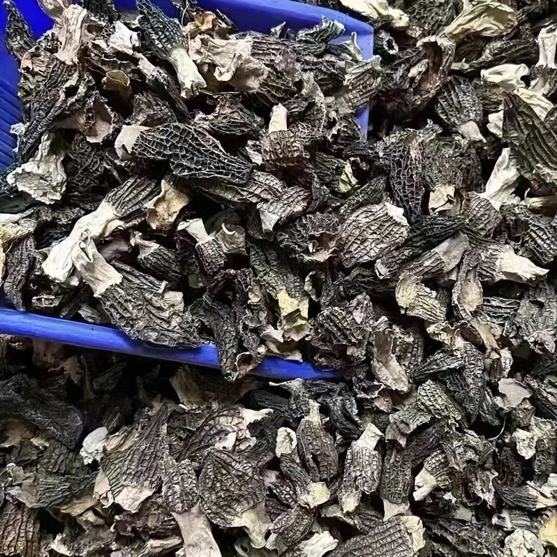 破损羊肚菌，健脾开胃