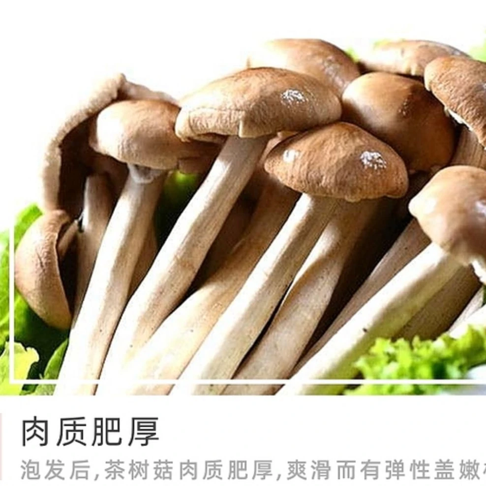 茶树菇干货自然种植天然好菇新鲜味佳营养丰富肉质肥厚鲜嫩