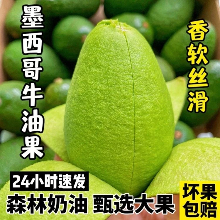 墨西哥进口牛油果新鲜水果孕妇宝宝辅食大果批发整箱当季包邮