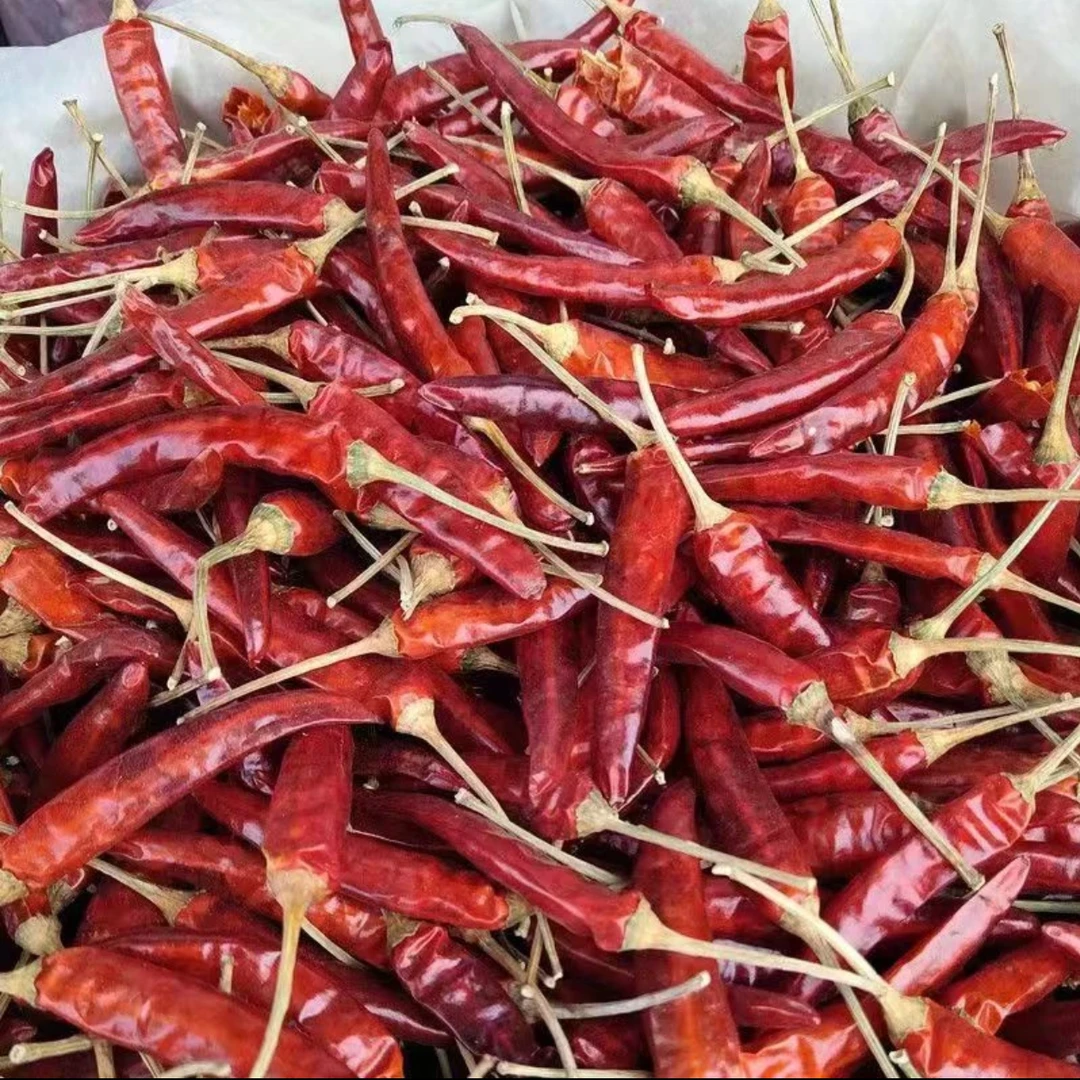 干辣椒-老百姓自种辣椒-干净卫生