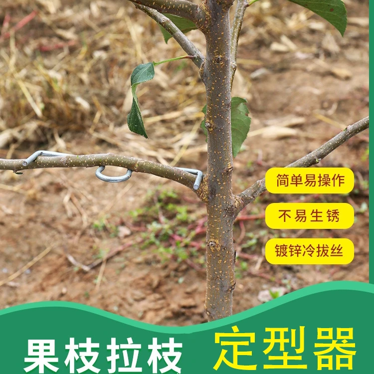 果树拉枝神器m型拉枝器别枝器拉枝器压枝弯枝定型拉树枝神器