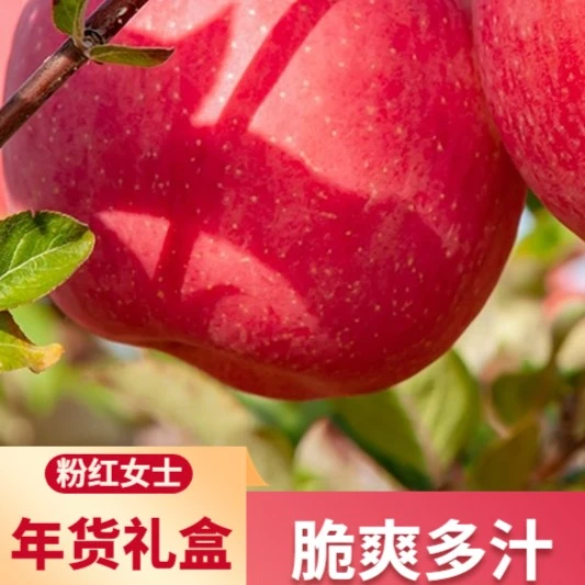 【特价福利】粉红女士苹果脆甜可口现摘现发原生态多汁新鲜严选产地