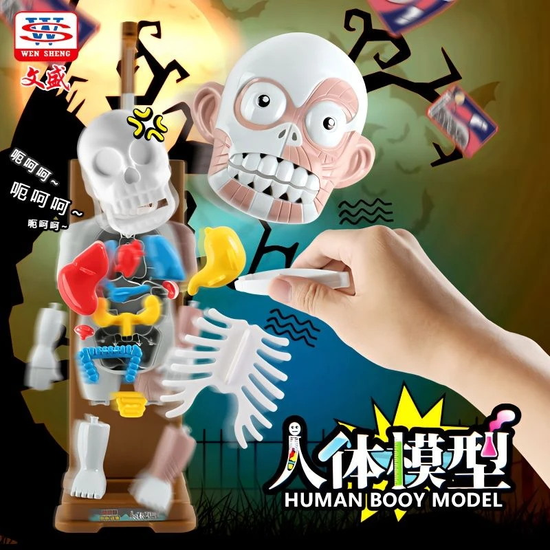 人体模型男器官仿真内脏解剖器官可拆卸拼装恐怖成人聚会整蛊玩具