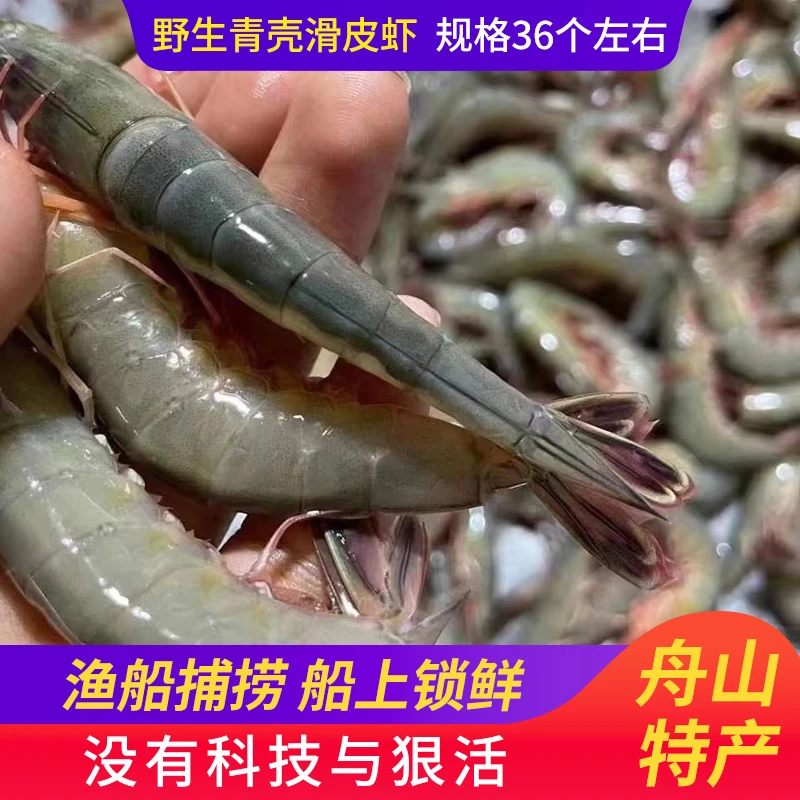 舟山海捕青壳滑皮虾（船上原装箱统货10斤装）