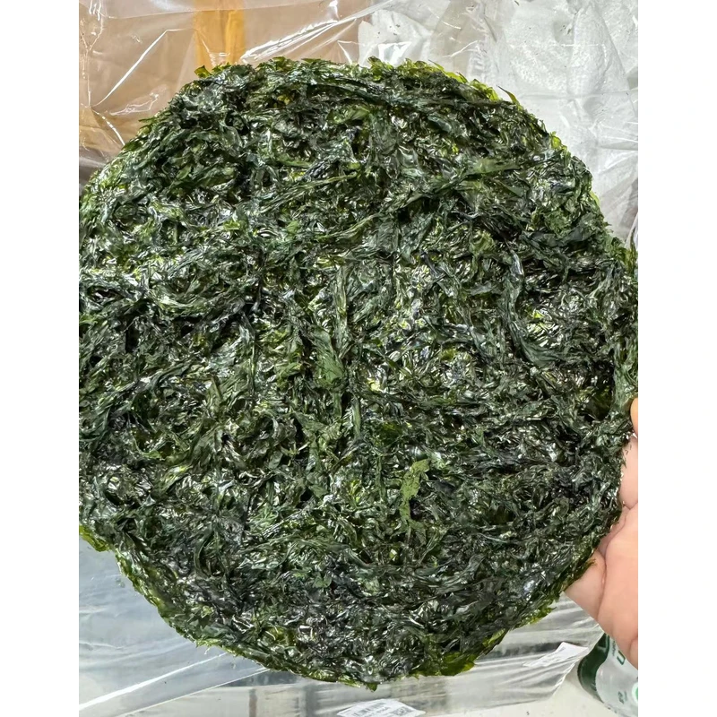 鲁顺南澳头水紫菜