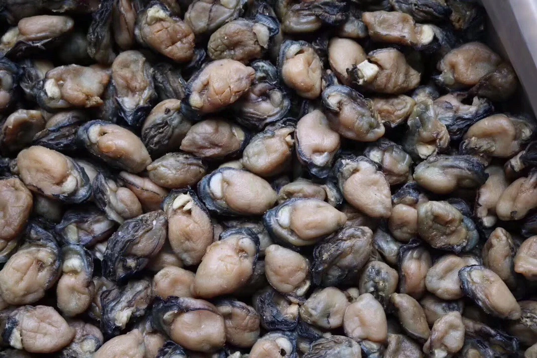 台山特产 淡晒生蚝干 100头 蚝鼓(好事）
