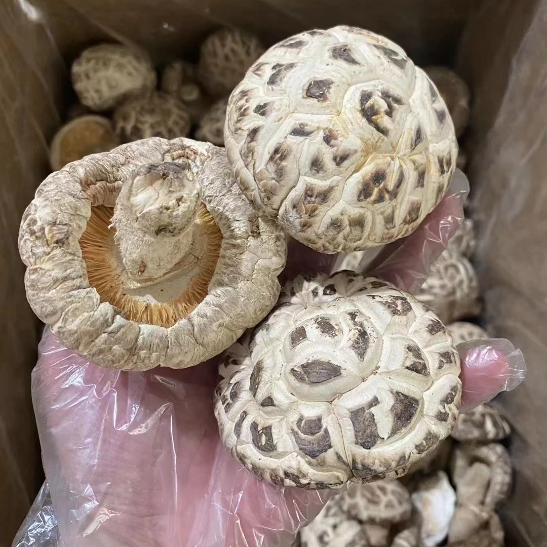 【福润堂】精选特大花菇 煲汤食材