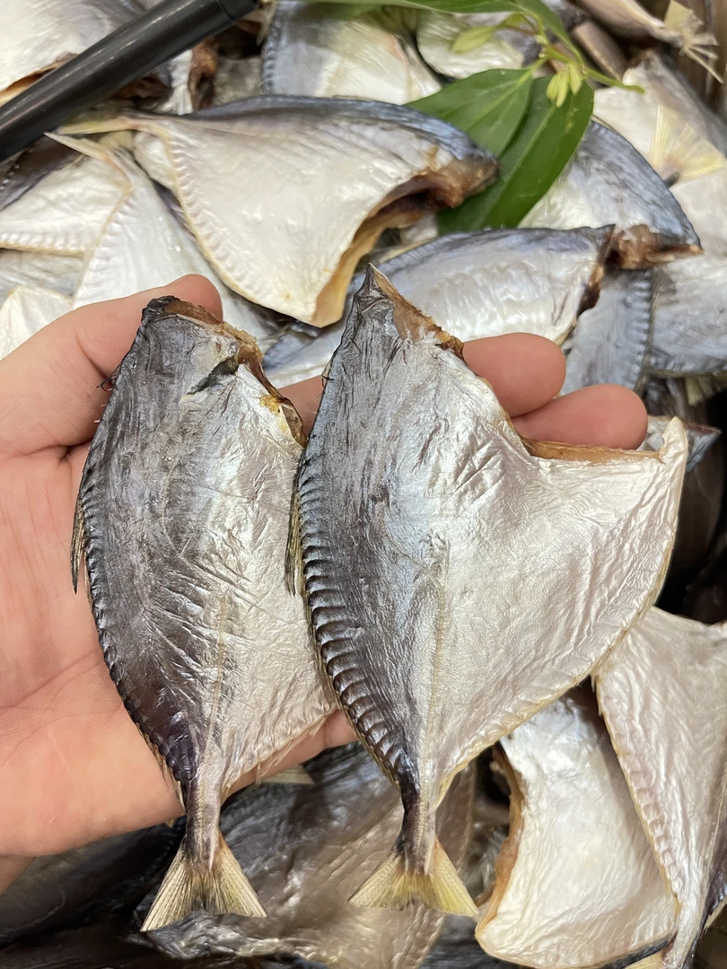 台山淡口  无头仓鱼