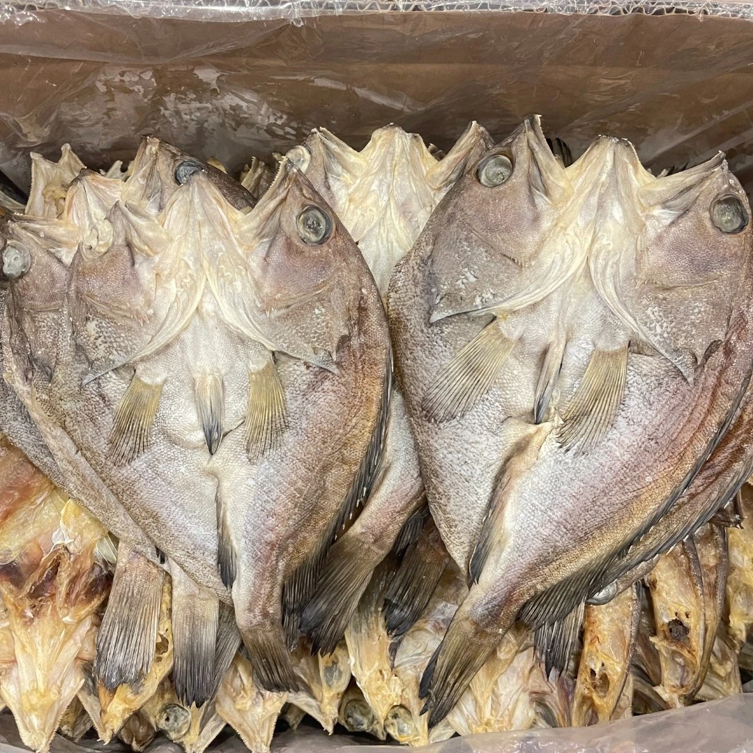 石斑鱼干  海货 海鲜干货