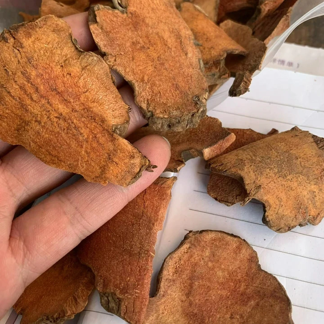 土茯苓 煮水煲汤均可 500g