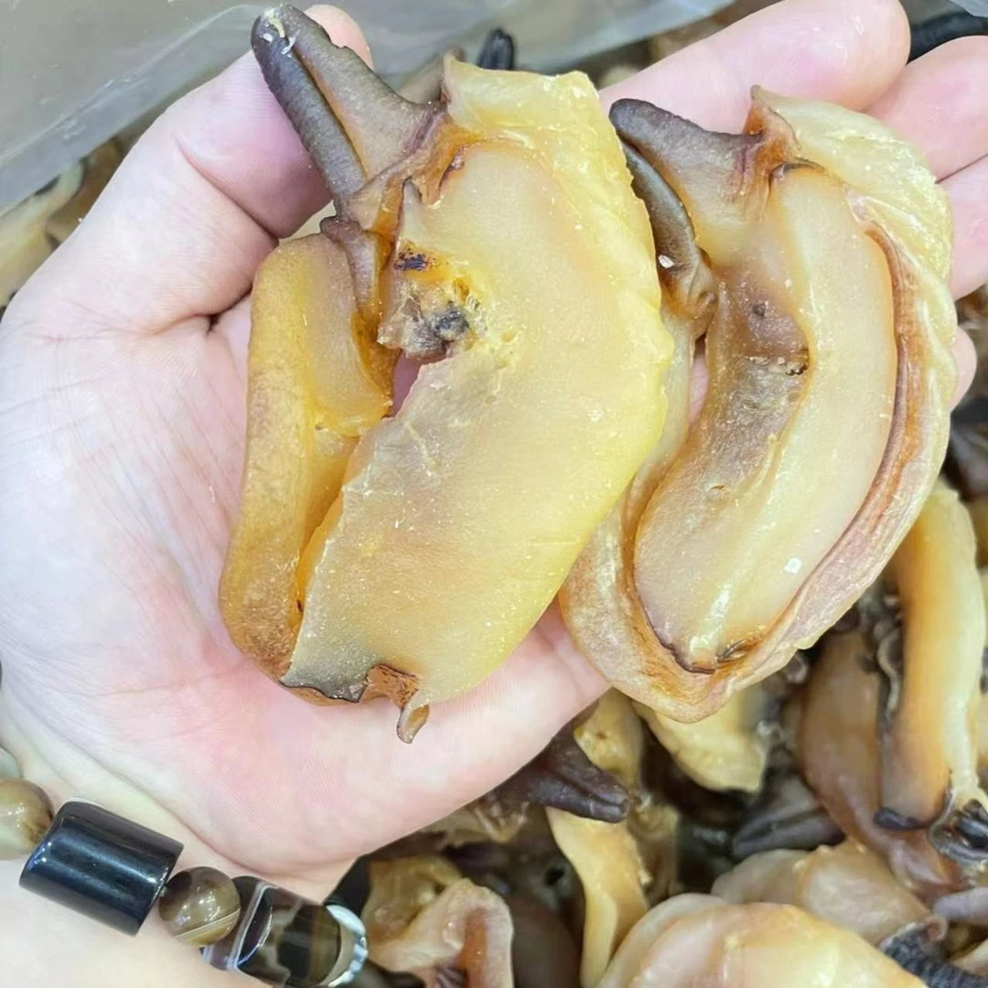 台山川岛 响螺嘴 9-10头 煲汤 鲜甜可口 250g-500g包邮