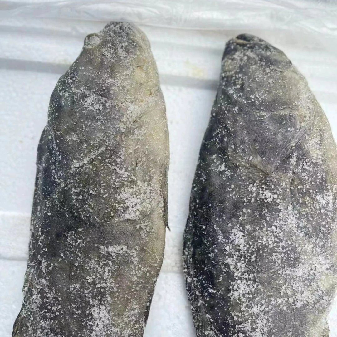 梅香石斑鱼 炒饭 蒸 咸鱼鱿鱼干鱼尾辣岚格香辣埃及海鲜焗虾皮