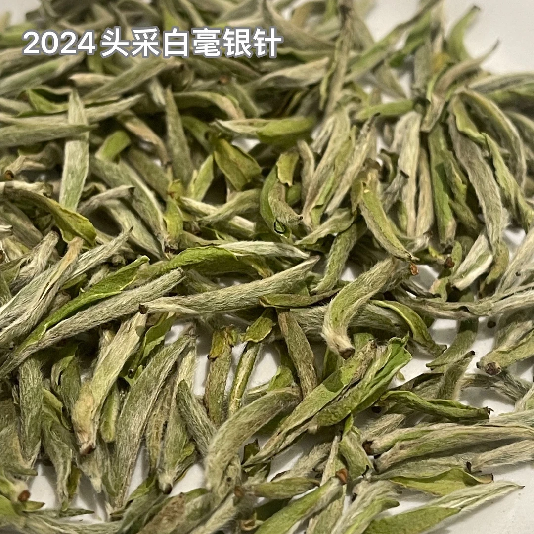 2024年头采碳焙 满披白毫   白毫银针（50g）罐