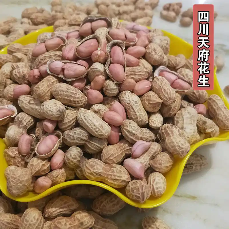四川本地自然晒干当年新生花生