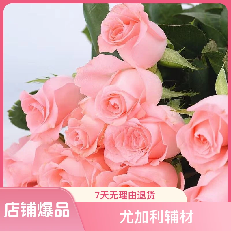 云南鲜花玫瑰花戴安娜真花花束水养插花混搭花束鲜花速递基地直发