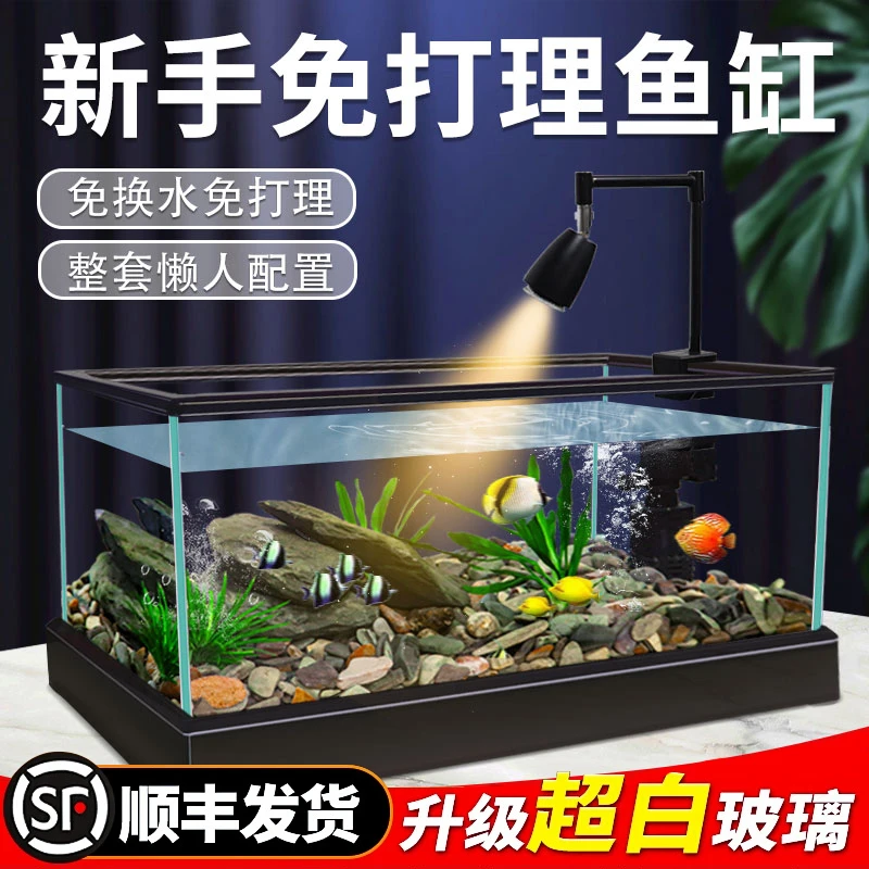 南美溪流缸客厅小型原生态鱼缸家用全套造景超清玻璃桌面生态鱼缸