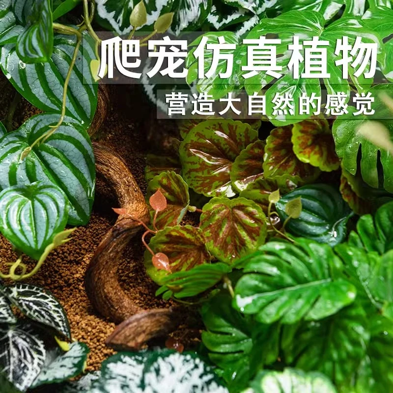爬虫饲养箱陆龟蜥蜴热带雨林仿真植物生态缸沙漠造景装饰爬宠守宫