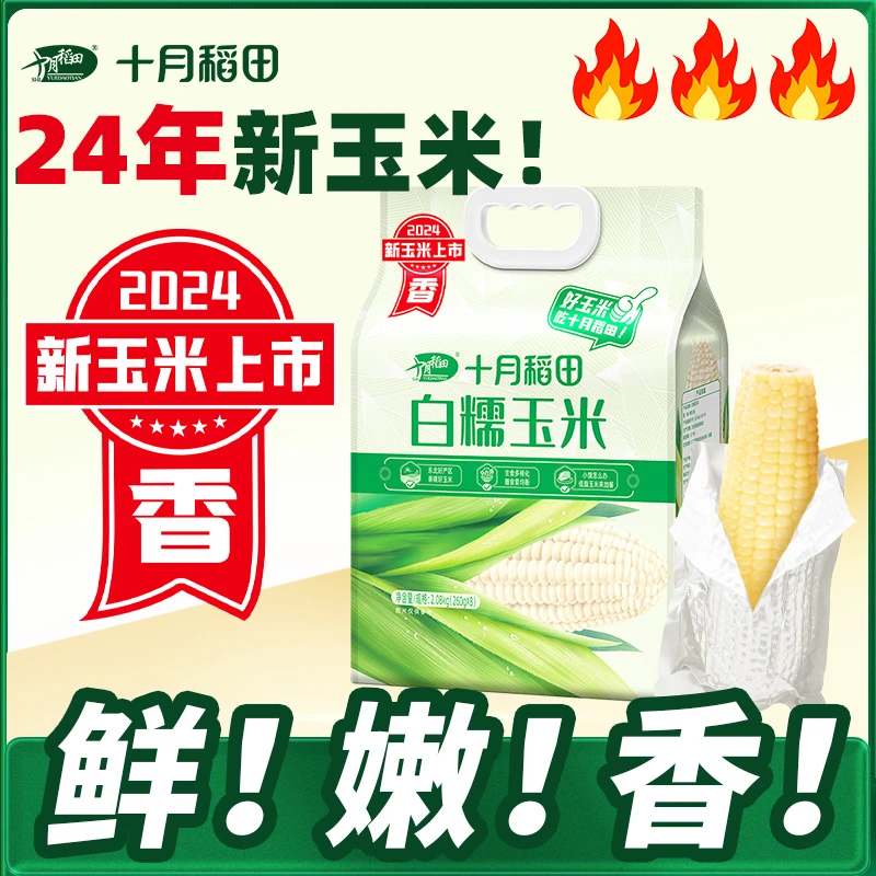 【十月稻田】白糯玉米220g*8根