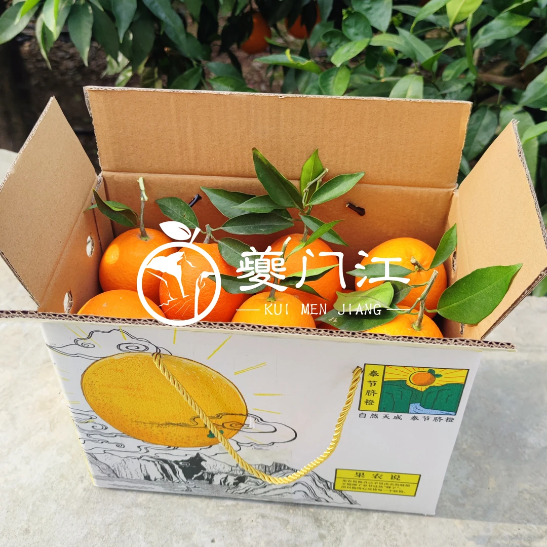 【经济装】正宗奉节脐橙中大果10斤新鲜采摘（坏果必赔）包邮