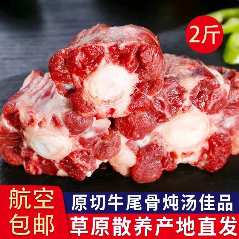 正宗内蒙古新鲜鲜嫩牛尾巴草原散养黄牛尾满肉孕妇煲汤营养滋补