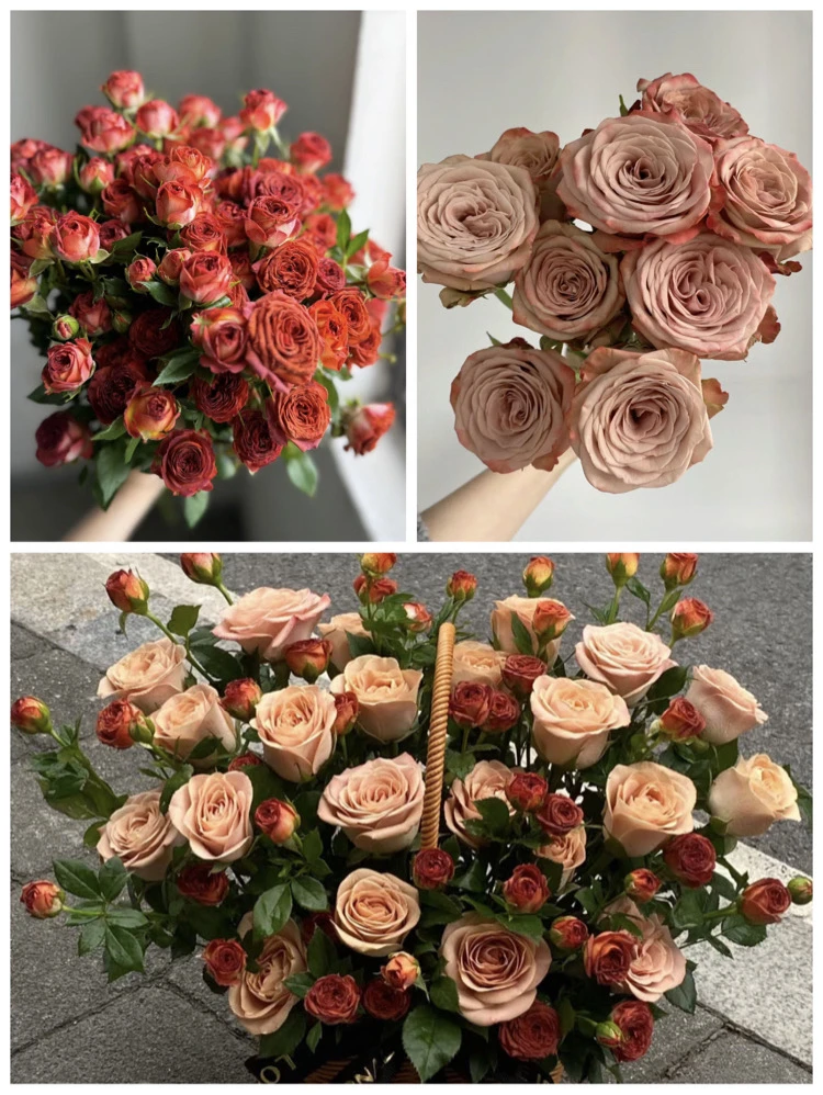 【多头玫瑰组合】10支卡布奇诺+10枝巧克力泡泡