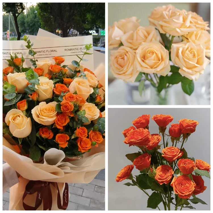 【鲜花组合】10支香槟+10支橙色芭比