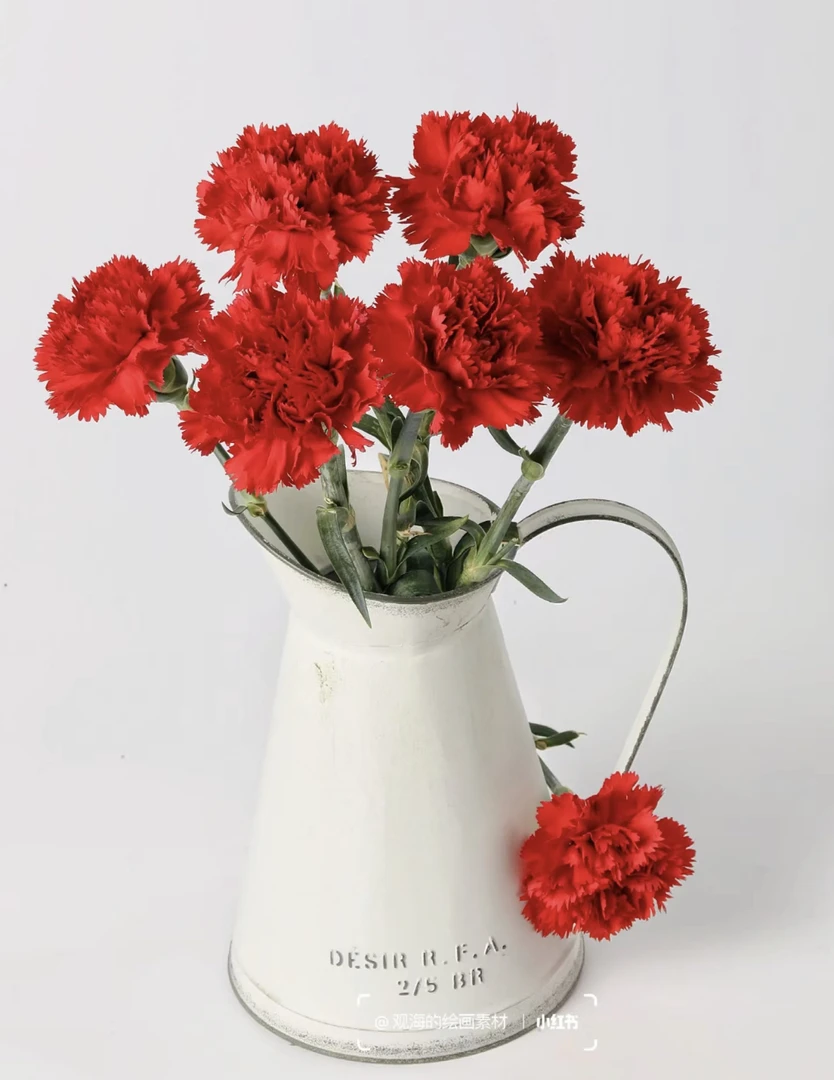 【康乃馨】桃红色20支，任意两单发顺丰冷链或中通空运