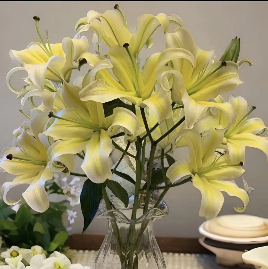 【百合】黄天霸3支3头9个花苞，任意两单发顺丰冷链或中通空运