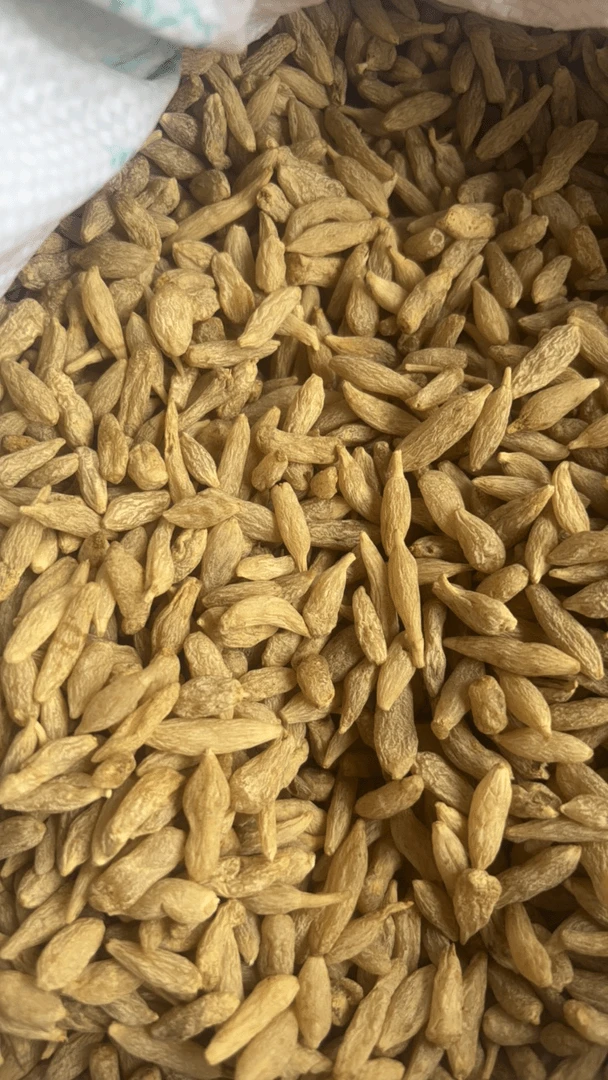 云南土特产，，，麦冬