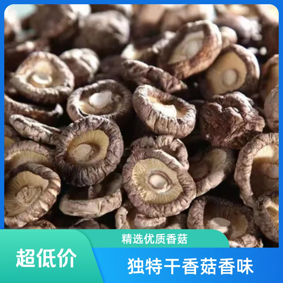 『加量不加价』正宗康县青冈树椴香菇小香菇金钱菇干花菇精选干香菇