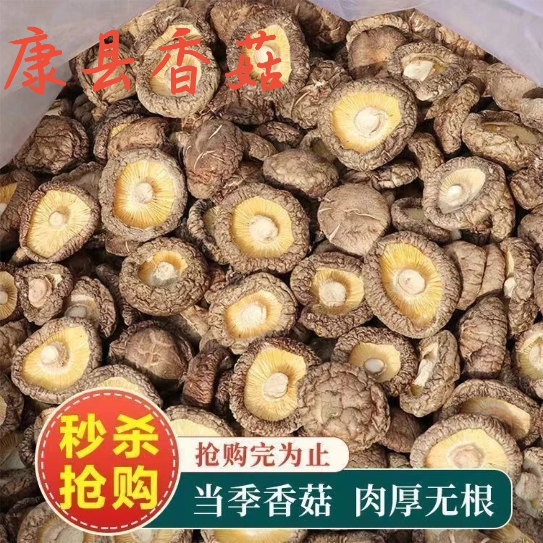 正宗康县椴木香菇金钱菇肉菇冬菇精选净重包邮