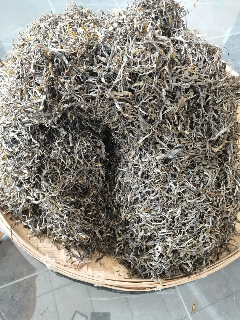 哀牢山荒山茶，500g散装（生茶）2024年。山野气息浓郁，回甘持久