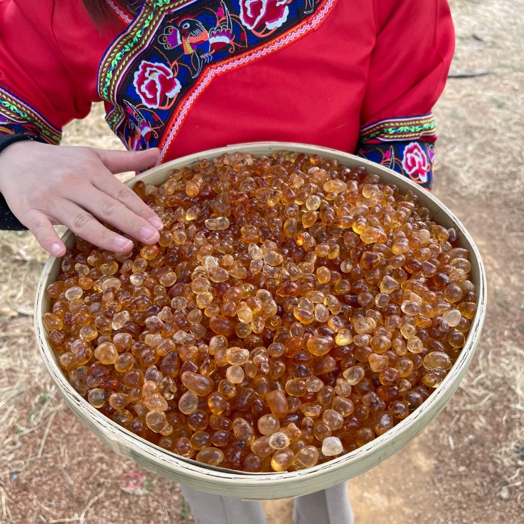 【主播精选】精选桃胶