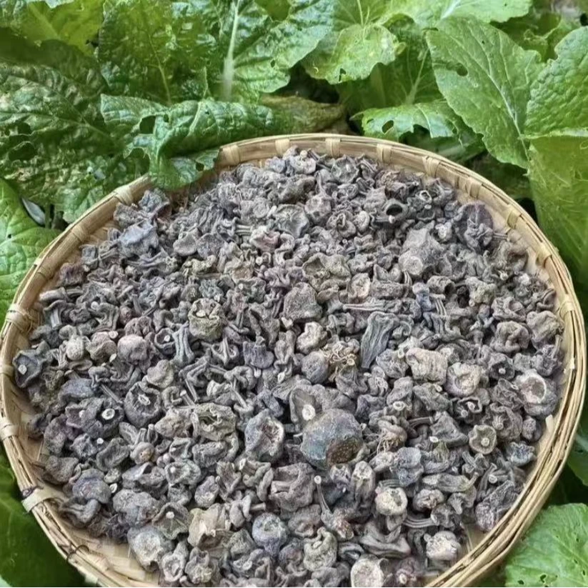 【主播推荐】石斛参 可搭配枸杞