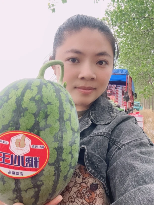 618大促江苏东台甘美糖心王4K无籽西瓜