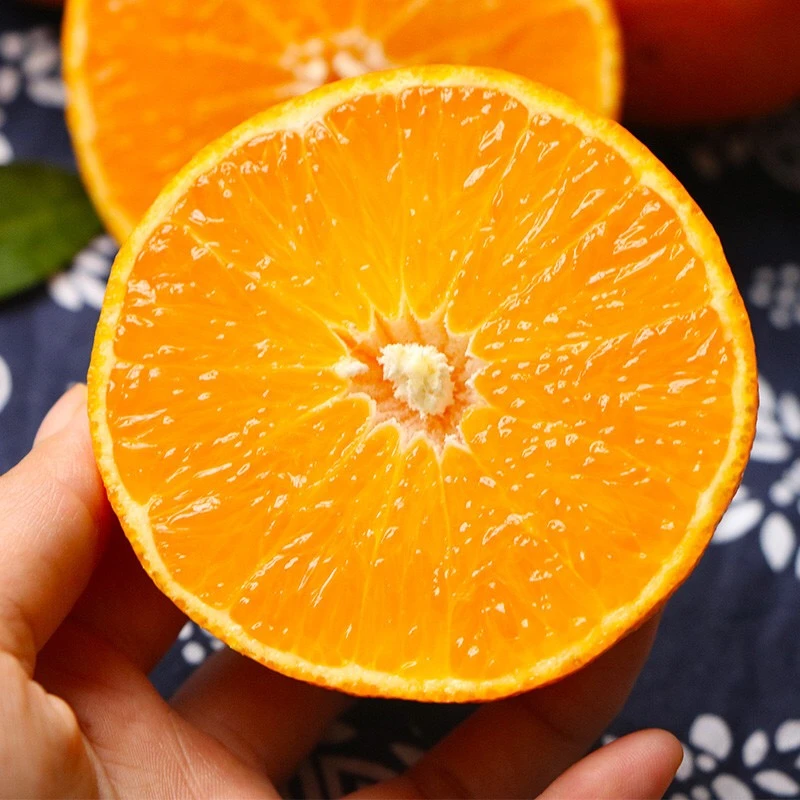 大海专属 四川眉山爱媛38号果冻橙手剥橙4.5斤新鲜应季橙子橘子