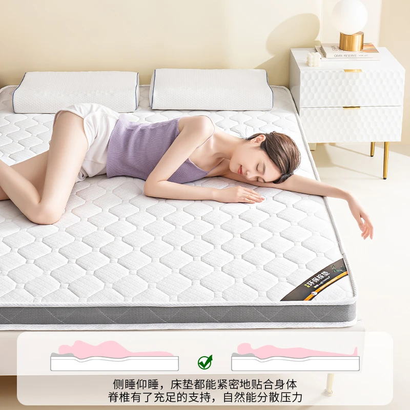 10公分椰棕环保棕垫床垫家用单双人榻榻米垫子铺底环保薄款硬垫