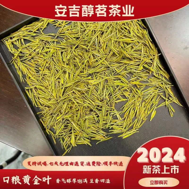 【醇茗精品黄金芽】2024安吉昆铜原产地高山黄金芽浓香耐泡栗香
