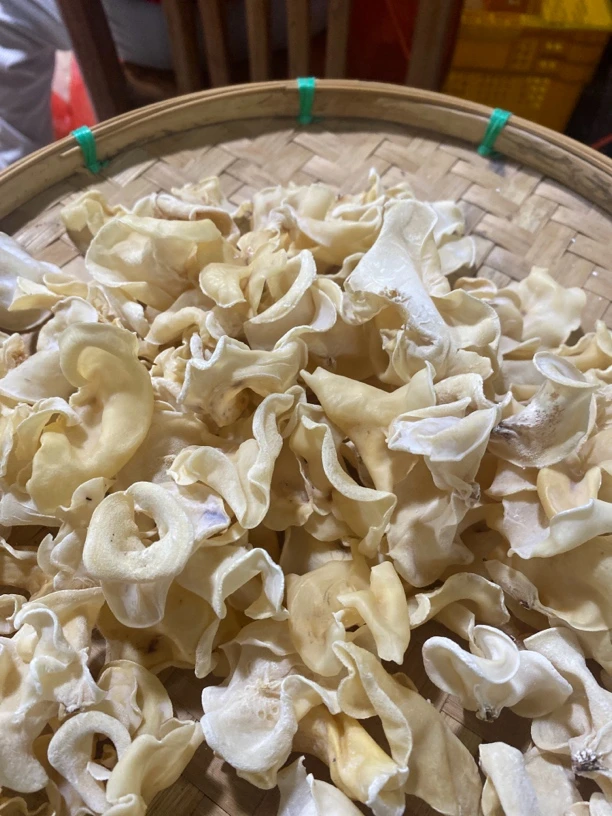 【土特产】白木耳150g