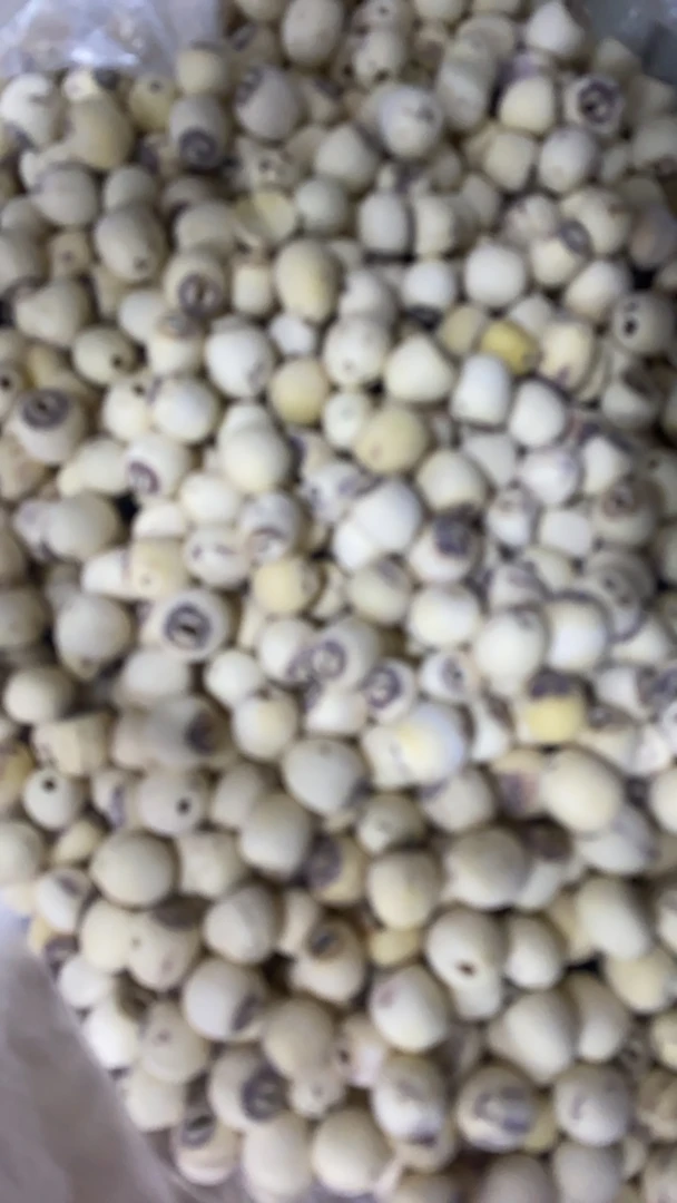 【土特产】莲子250g