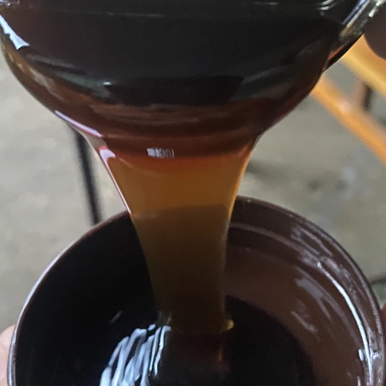 【土特产】 黑蜜 一罐