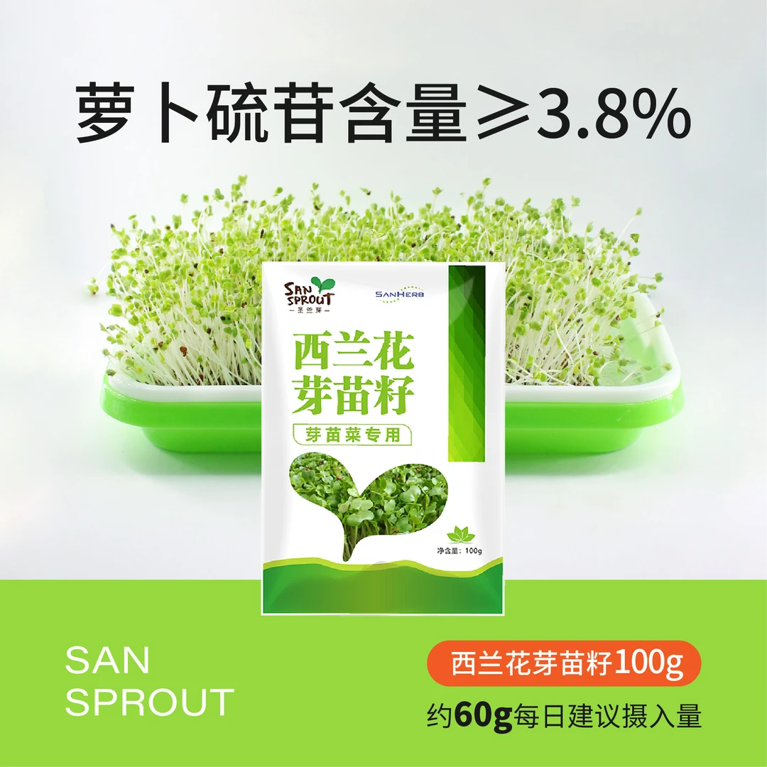 育苗盘阳台种植 芽苗菜盆无土水培带西兰花籽100克萝卜硫苷≥3.8%